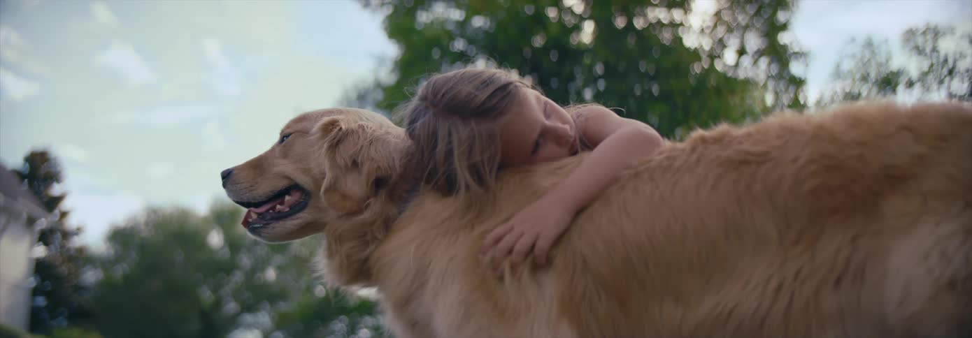 A young girl pets and hugs a dog outdoors during the day
