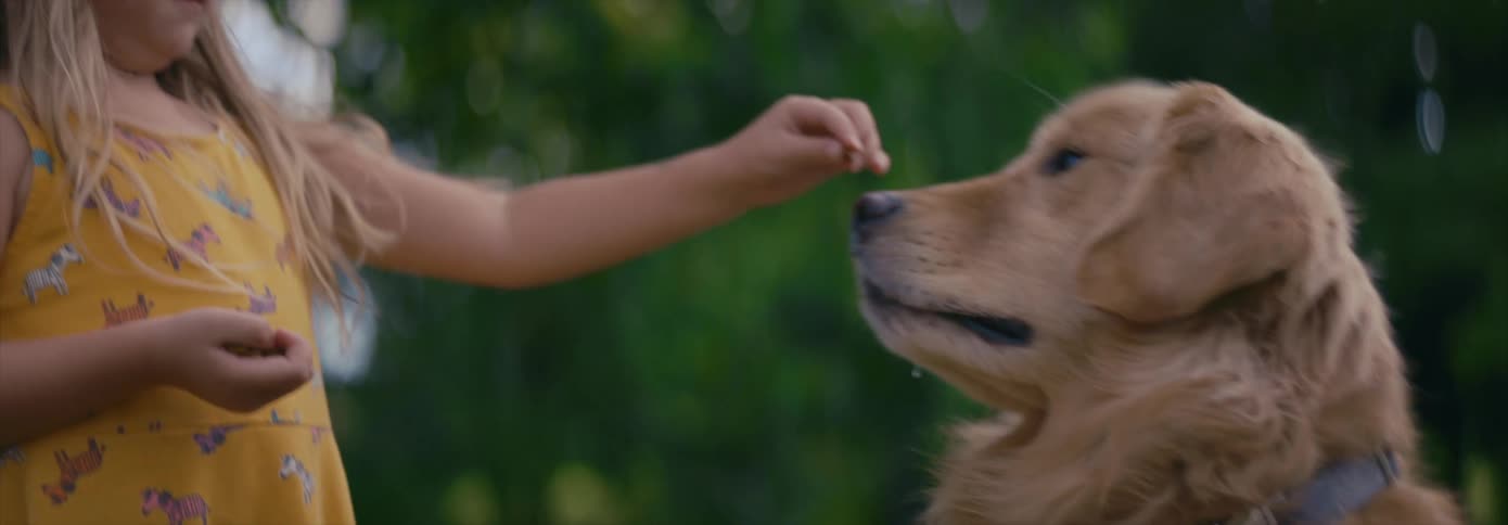 A young girl reacts as her dog nearly bites her hand when she gives it a treat