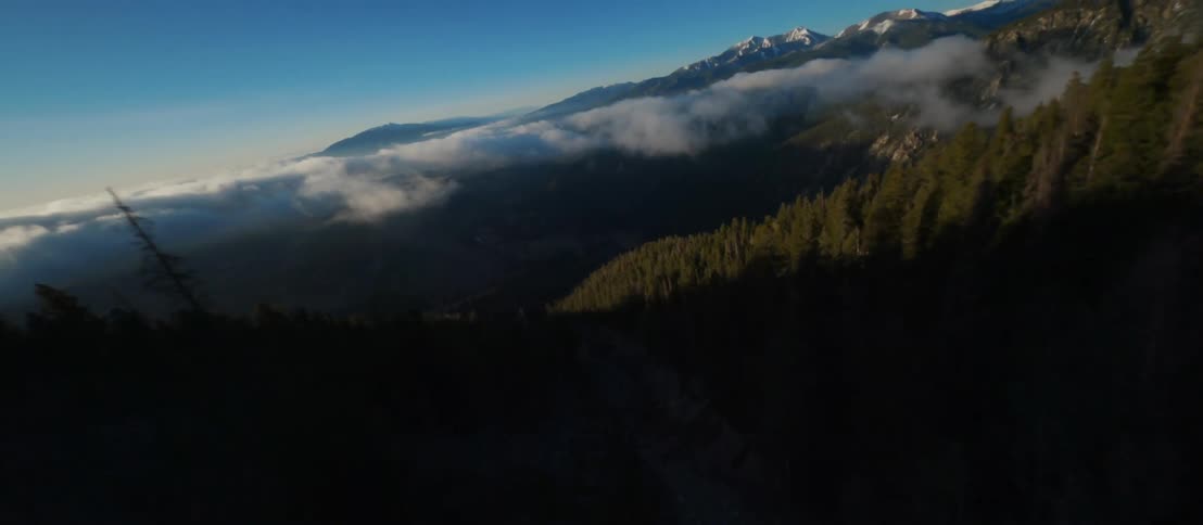 An aerial view of a mountain forest on a winter day