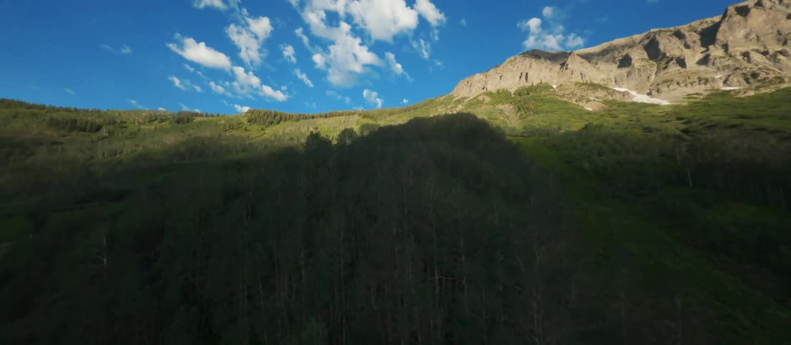 An aerial view of pines trees in a mountain forest in the daytime