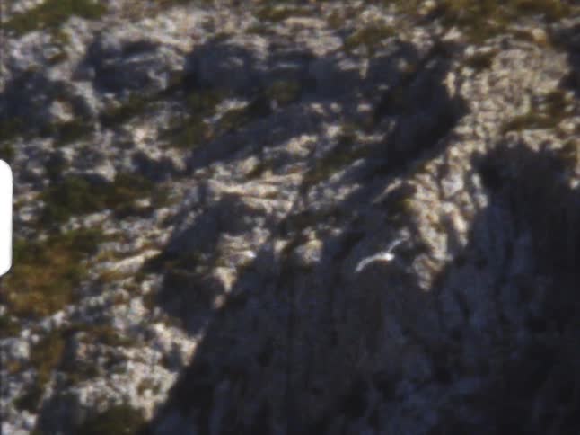 Bird flying over the mountains on 8mm