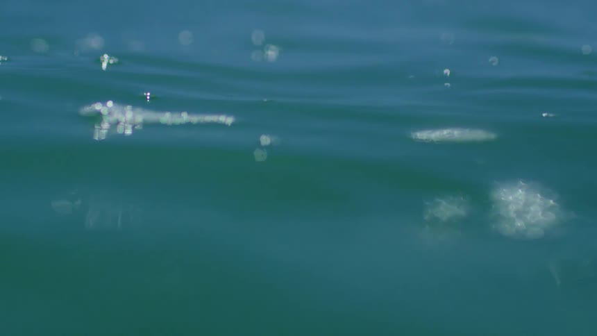 Ice floats on water sparkling in sunlight