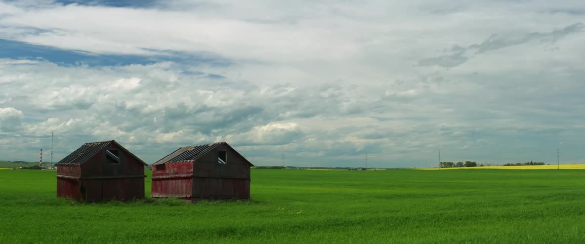 Red barns on a rural farm on a summer day