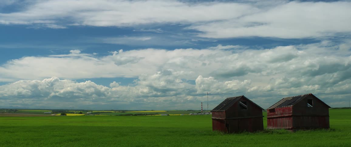A farm is displayed in spring