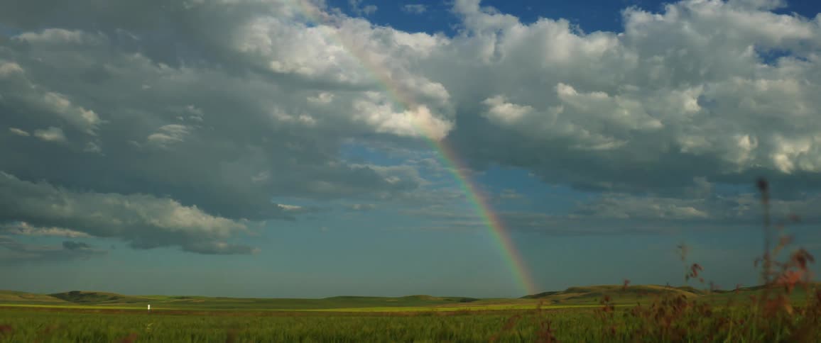 A rainbow over a field