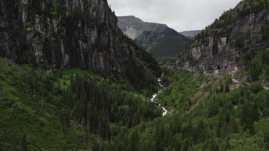 Aerial view of a forest with mountains and a lake