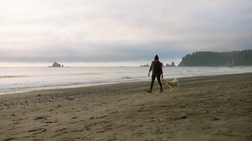 Man walking with a dog on a beach