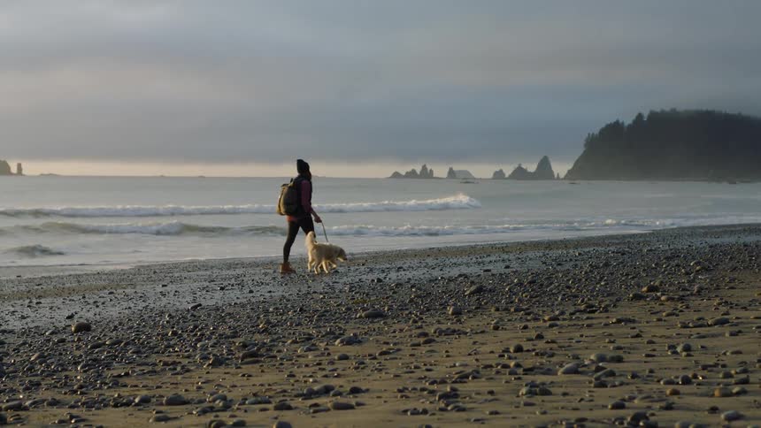 Young woman with her pet dog walking over the shore of a beach at sunset