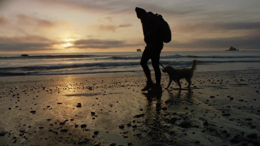 A man with a backpack walks across the beach at sunset with his dog