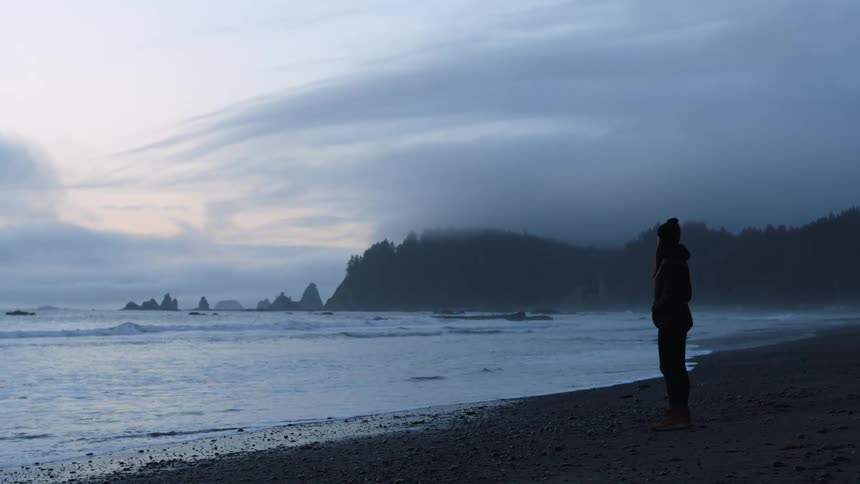 Person watches the ocean waves roll in on the beach at dusk