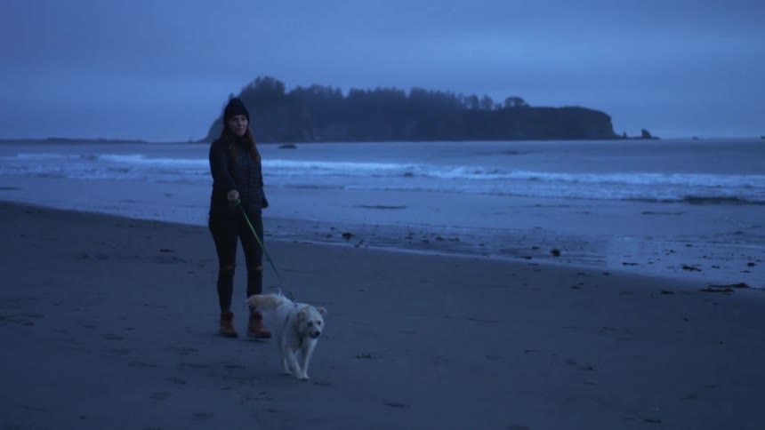 Woman walks dog along beach with town in distance and island near shore