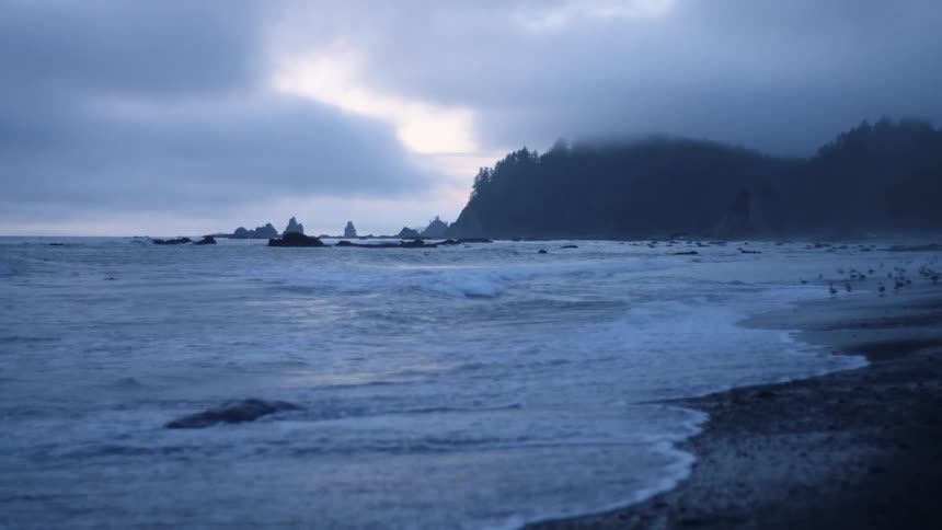 Waves wash onto a beach covered in birds on a cloudy evening