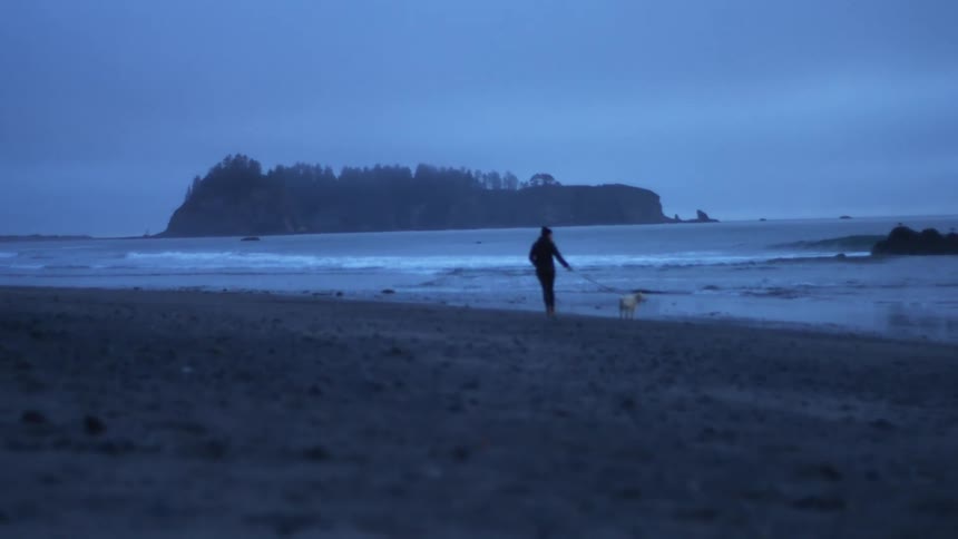 A person walking a dog on a beach on an overcast day