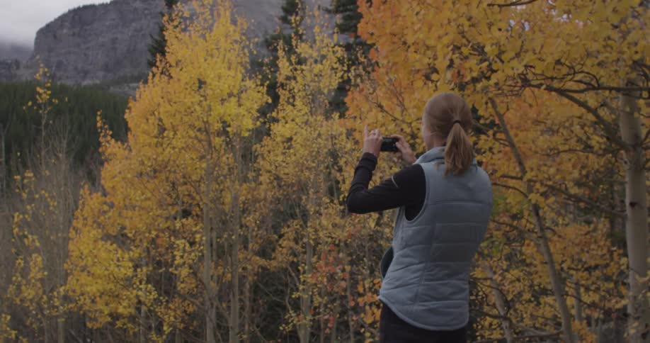 Autumn In Mountains