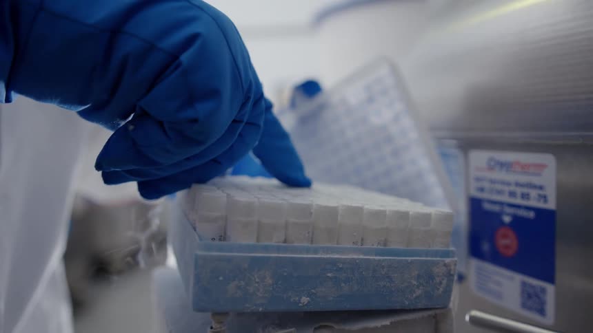 Frozen boxes with vials are removed with hands in blue gloves next to steel equipment