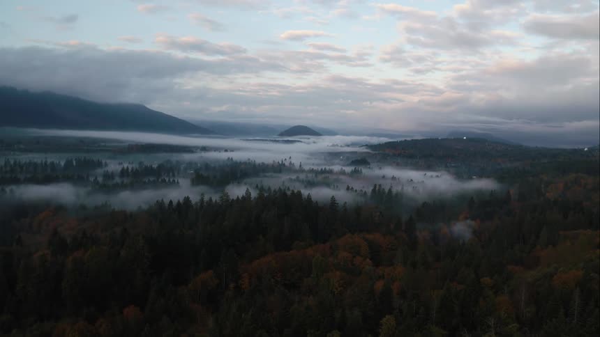 Fog hangs in a forested autumn valley between mountains