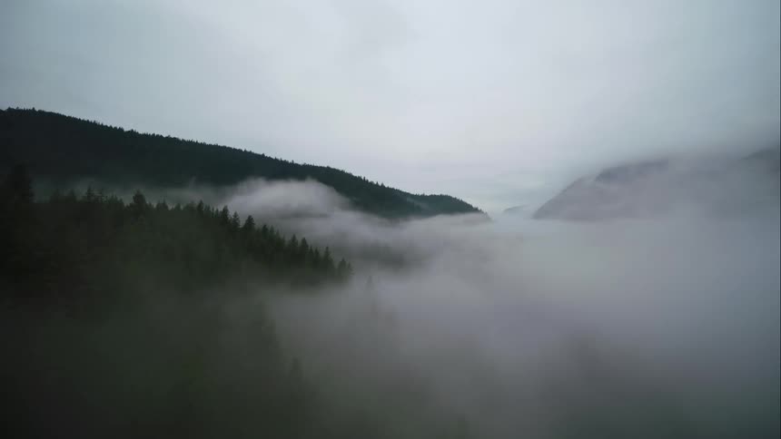 Clouds covering a forest