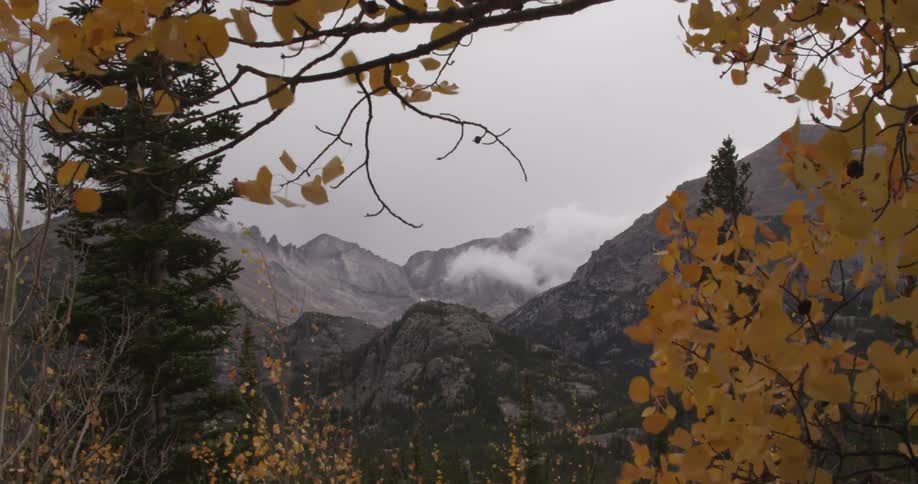 Autumn leaves are blowing in the wind before a row of mountains