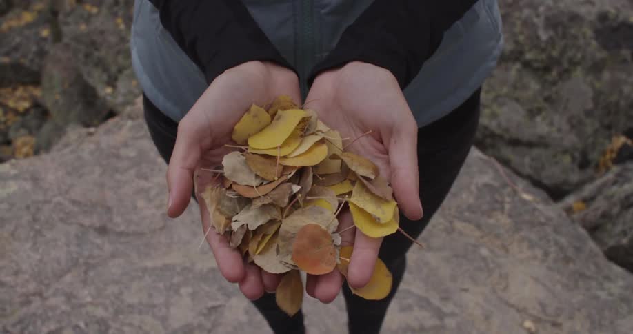A breeze blowing dead leaves from a woman's hands