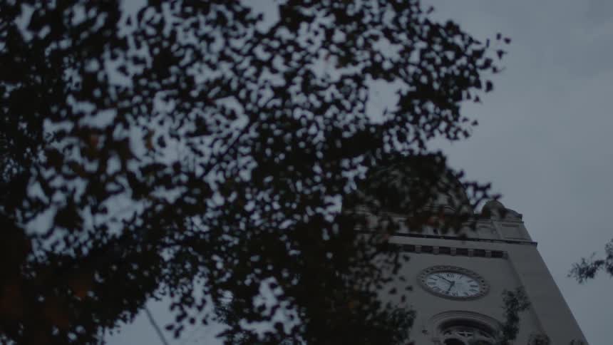 A church tower with a clock comes into view through a tree's branches