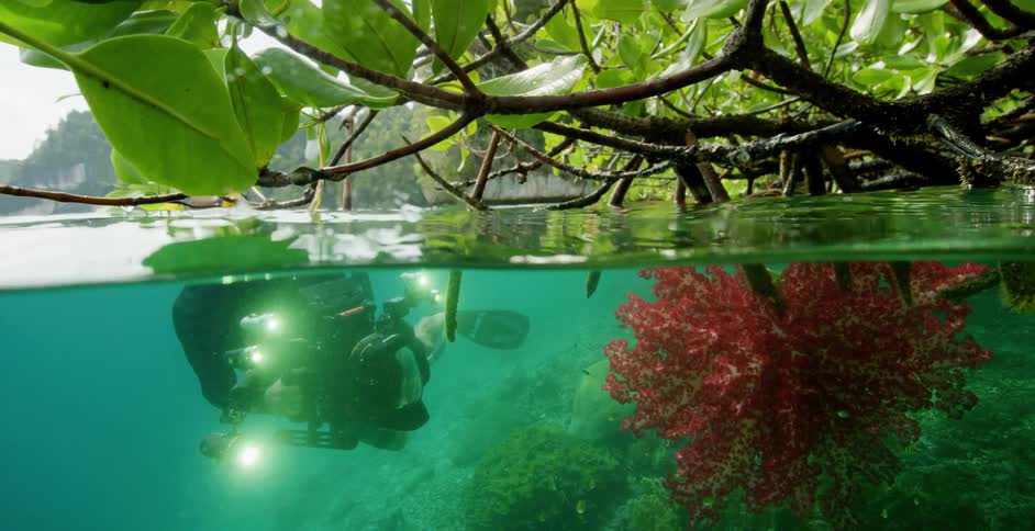 A person with flippers scuba diving underwater with a camera near a coast with trees the sky and clouds in the background