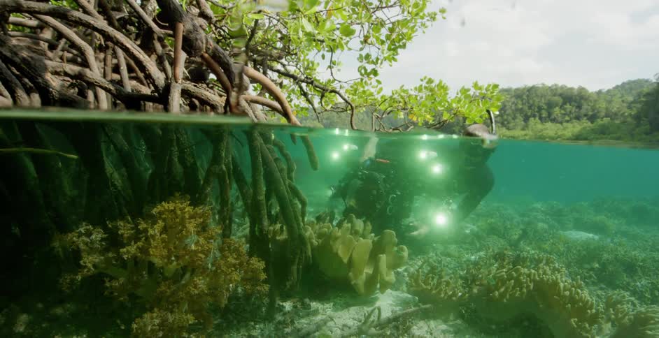 A person scuba diving underwater with a camera with trees the sky and clouds in the background