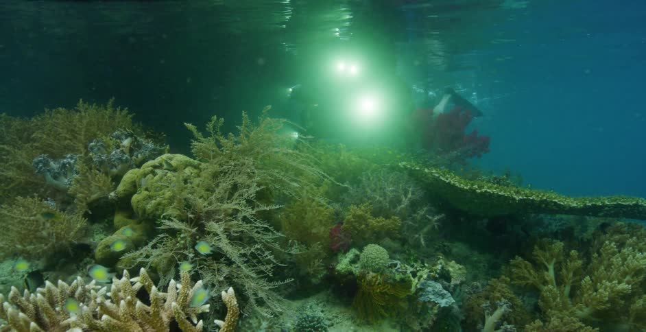 A man is filming underwater