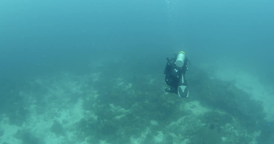 A diver swims toward the ocean floor