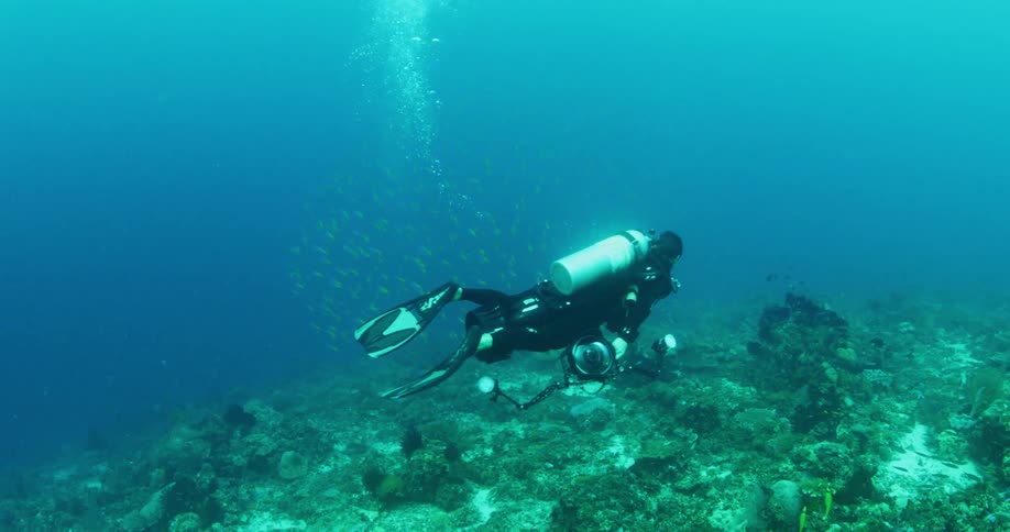 A diver is swimming underwater