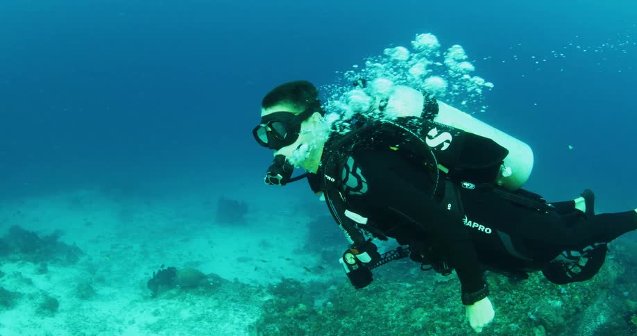Man scuba diving in the ocean