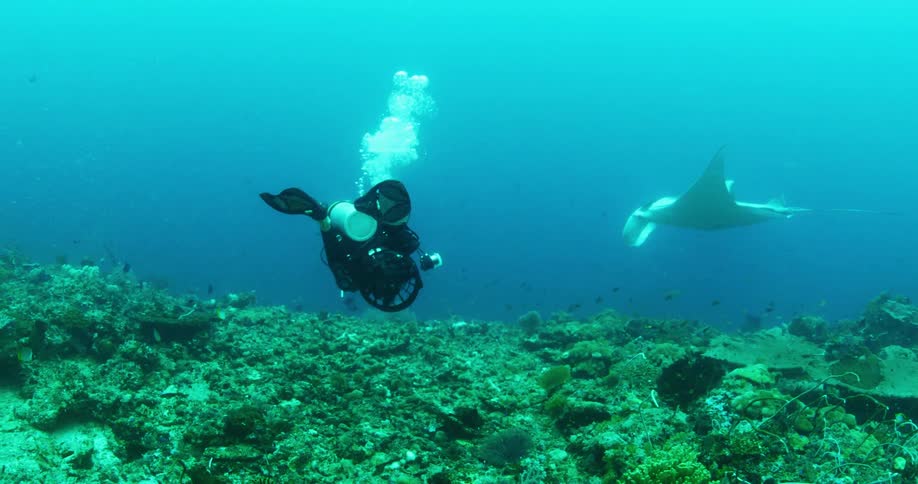 A diver is traveling underwater