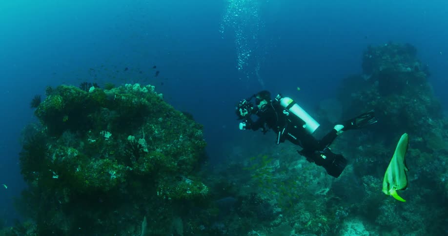 Scuba diver filming something underwater