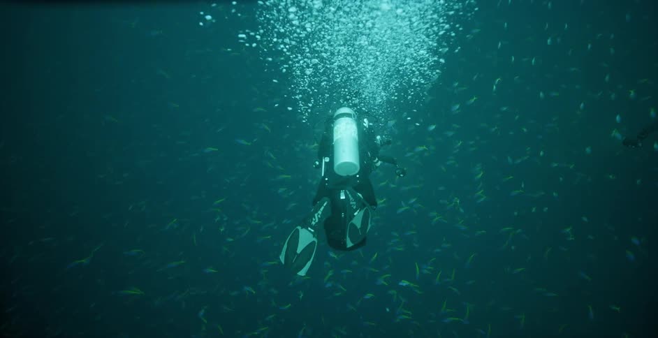 Human scuba diving underwater in an ocean