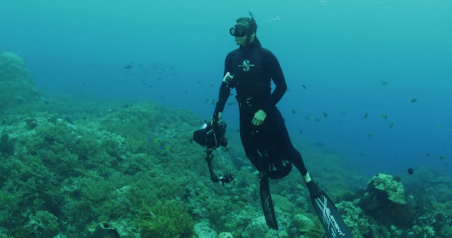 Man scuba diving in an ocean surrounded by fish