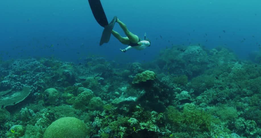 A woman snorkels in the water above a coral reef