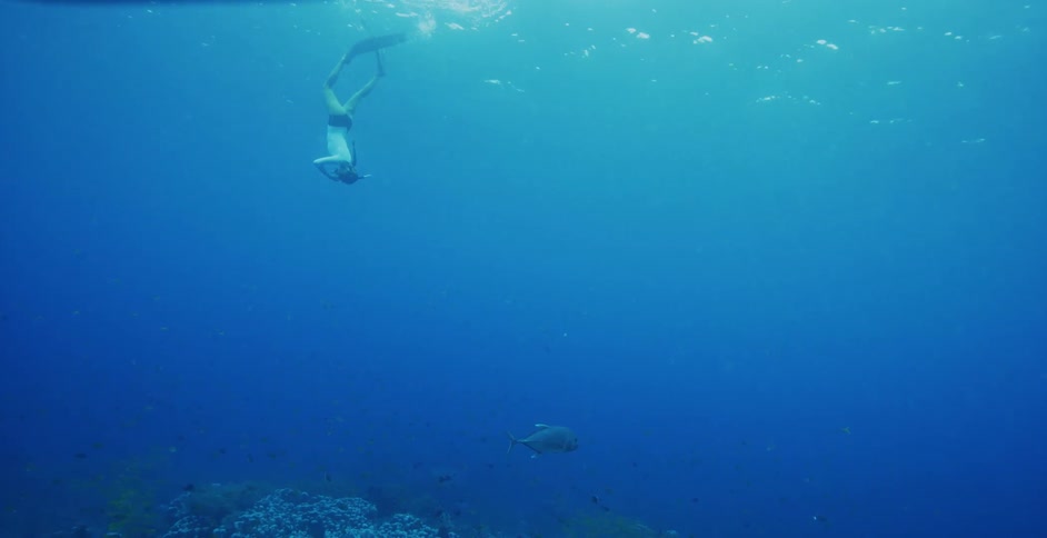 A man is snorkeling on the water surface and dives underwater to a coral reef