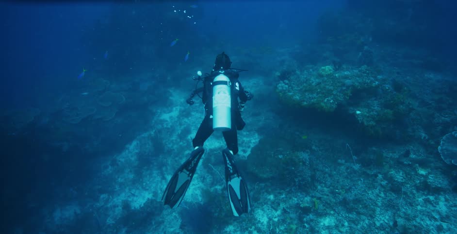 Human scuba diving in the ocean