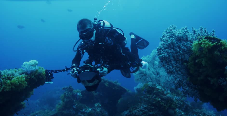 A diver swims through the ocean with a camera