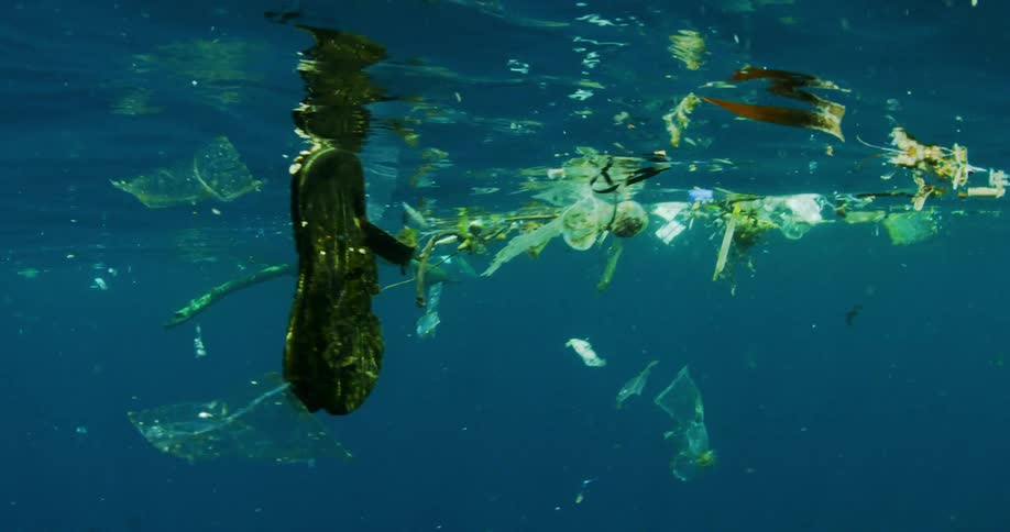 Plastic bags and a pair of flip flops are among trash floating near the surface of the ocean