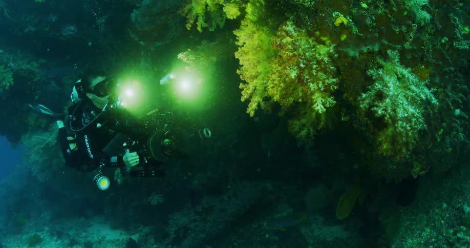 A diver uses an underwater camera to film vegetation growing on an underwater rock formation