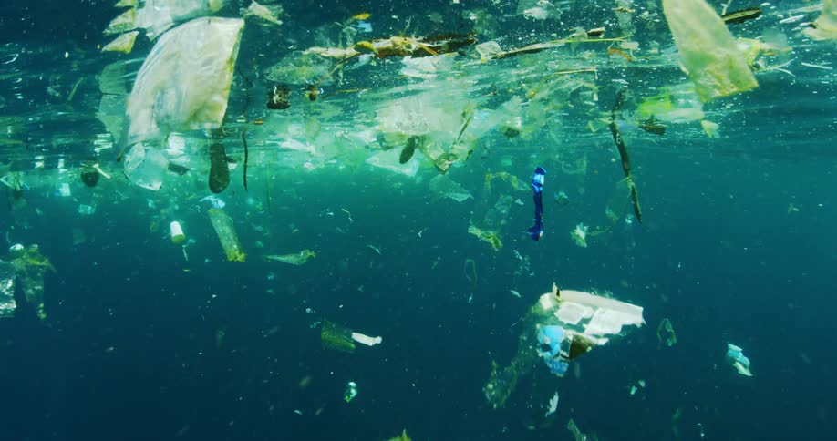 Rubbish floating on an ocean surface