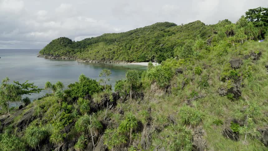 Aerial shot of an island with lush vegetation and trees against water