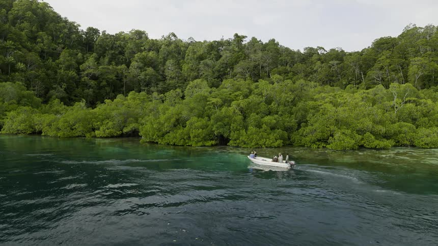 A boat approaches the tropical island