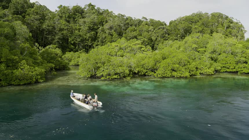 People on a boat near the coast with trees with the sky and clouds in the background