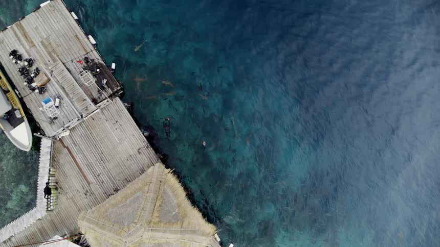 A dock with a hut and a boat with people swimming with sharks