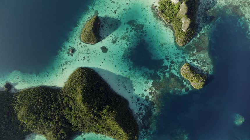 Islands with plants and trees