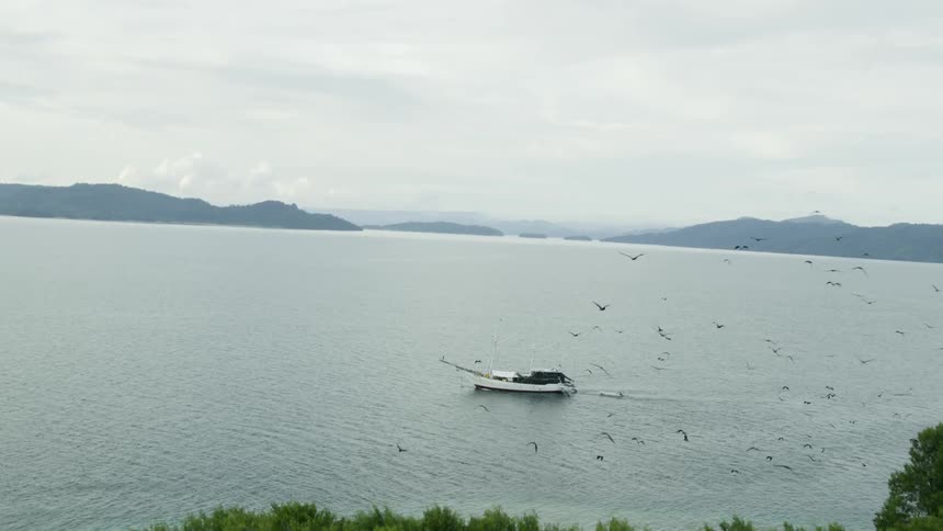 Birds flying over an ocean landscape with a small boat sailing in the water