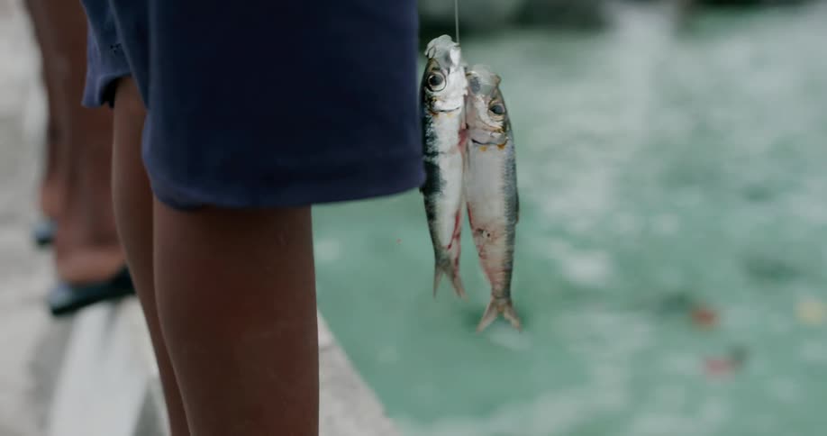 A person standing on a dock with fishes on a line with water in the background