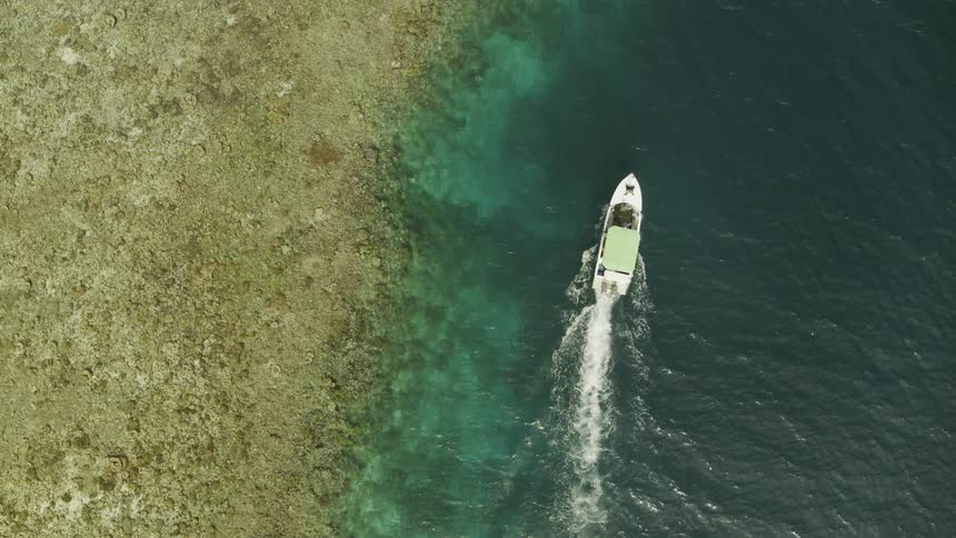 A speedboat sails close to the beach through bright turquoise water