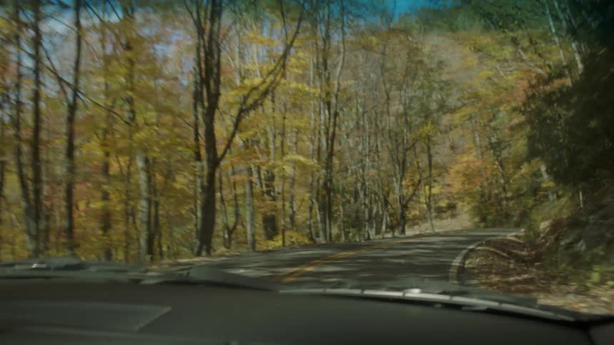 A person is driving a car in autumn